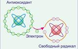 Антиоксидант